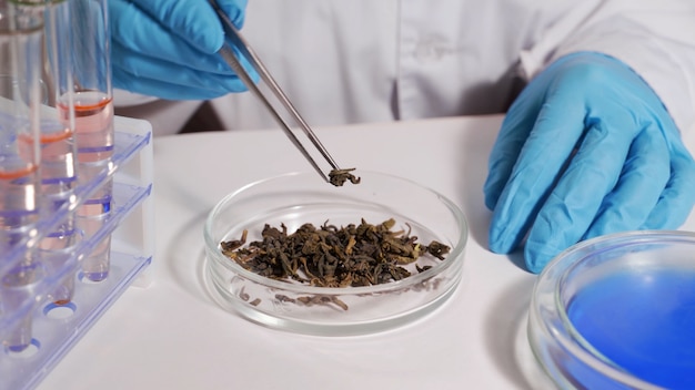 Lab technician conducts a tea quality determination in a modern laboratory