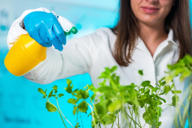 Lab Technician Spraying Plants