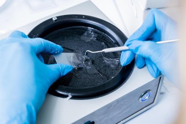 Laboratory assistant works on a rotary microtome section and making microscope slides