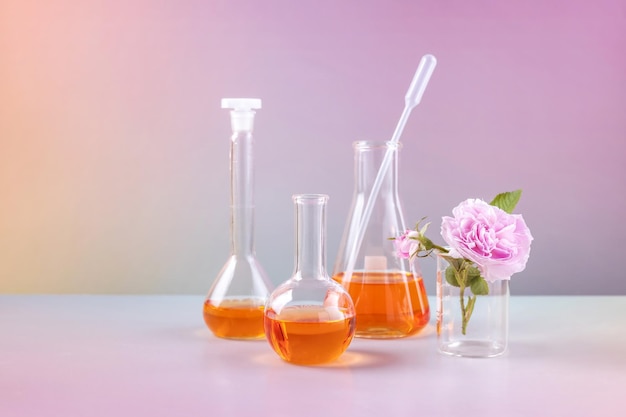 Laboratory beakers and rosehip flower on a gradient background