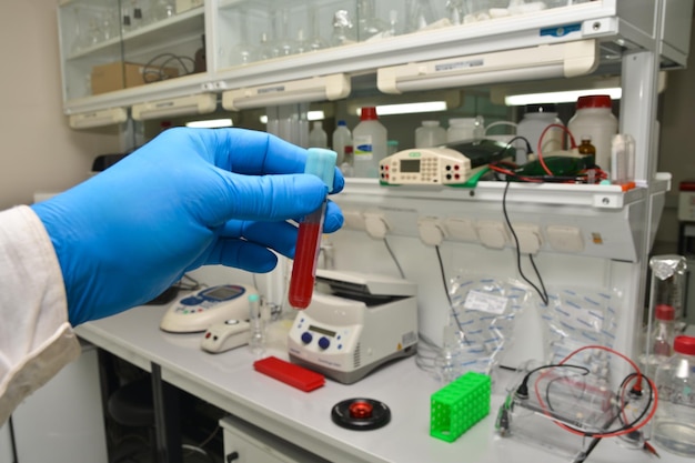 Laboratory examination of a blood sample