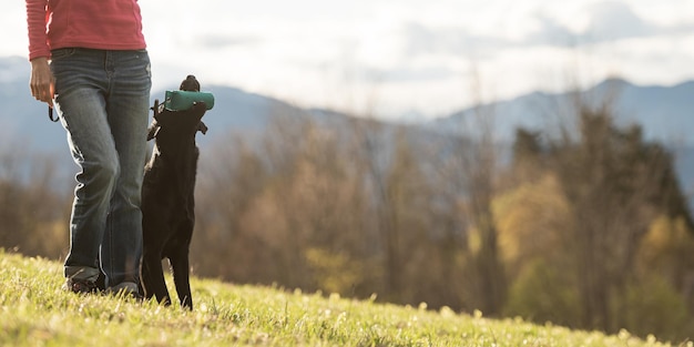 Labrador retriever hond zit bij haar baasje met een fopspeen in haar mond