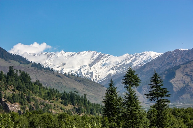 Ladakh Range is a mountain range part of the Greater Himalayas