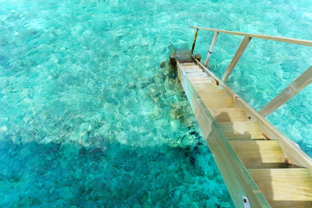 Ladder to crystal clear turquoise sea in tropical Maldives island