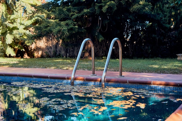 Ladder of a swimming pool