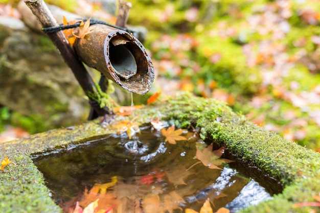 写真 日本のお寺で杓水