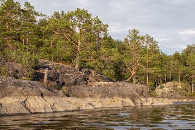 Ladoga lake Panorama of the Republic of Karelia Northern nature of Russia Island with pines