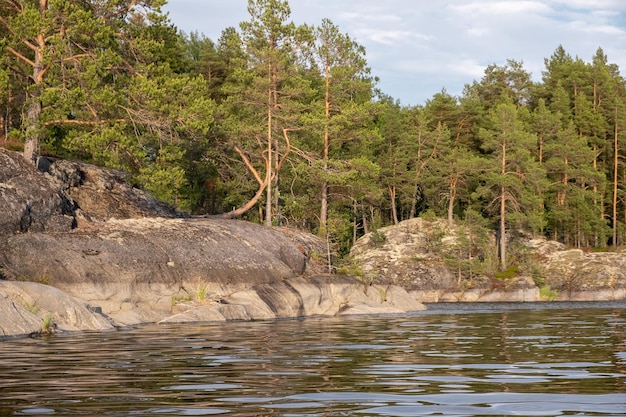 Ladoga meer Panorama van de Republiek Karelië Noordelijke natuur van Rusland Eiland met dennen