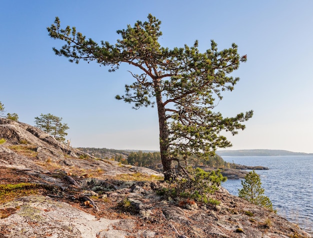 Ladogameer schertsen Karelië Rusland