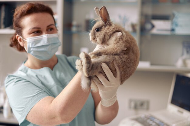 Lady dierenarts met handschoenen houdt schattig grijs konijntje vast bij onderzoek in het ziekenhuis