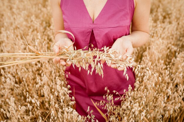 Lady holds in her hands ripe ears of oats