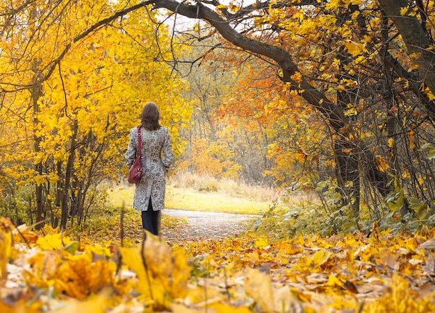 女性は秋の公園の美しい路地にいます。