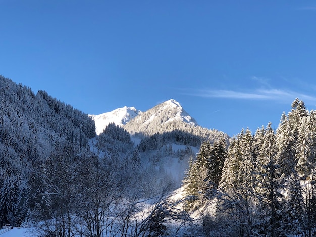 Foto lage hoek van besneeuwde bergen tegen een blauwe hemel