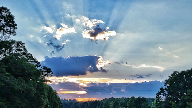 Foto lage hoek van bewolkte lucht over bomen bij zonsondergang