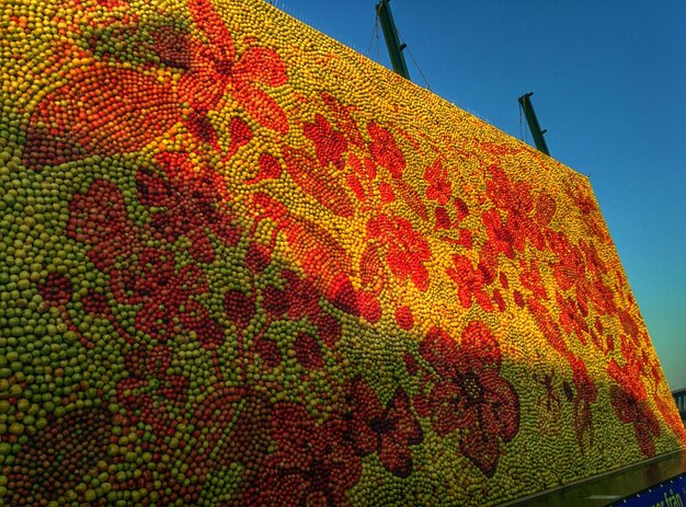 Foto lage hoek van bloemen