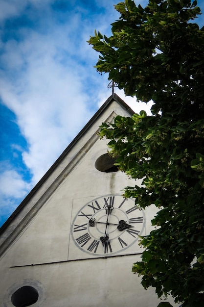 Foto lage hoek van bomen en kerk tegen de lucht