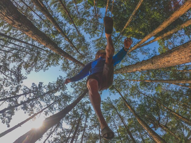 Foto lage hoek van bomen in het bos tegen de lucht