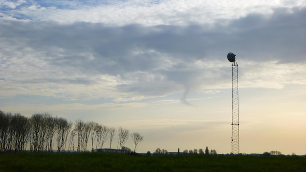 Foto lage hoek van bomen op het veld tegen de lucht