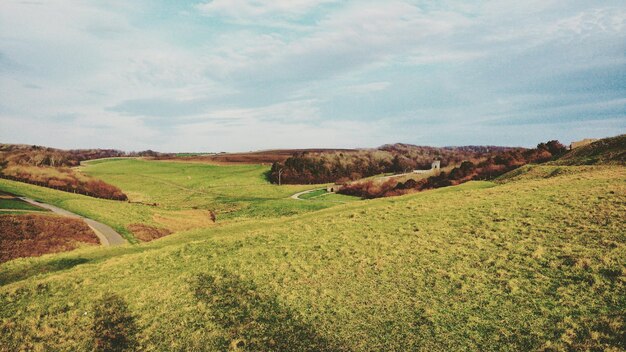 Foto lage hoek van bomen tegen de lucht