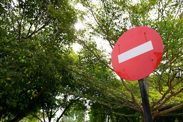 Foto lage hoek van bomen