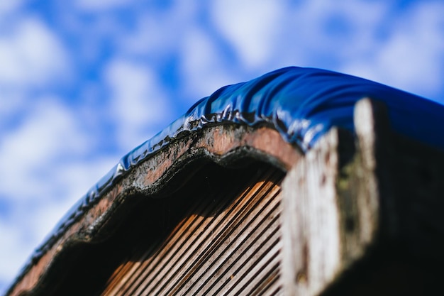 Foto lage hoek van de boom tegen de lucht