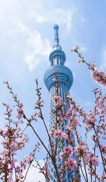 Foto lage hoek van de communicatie toren tegen de lucht