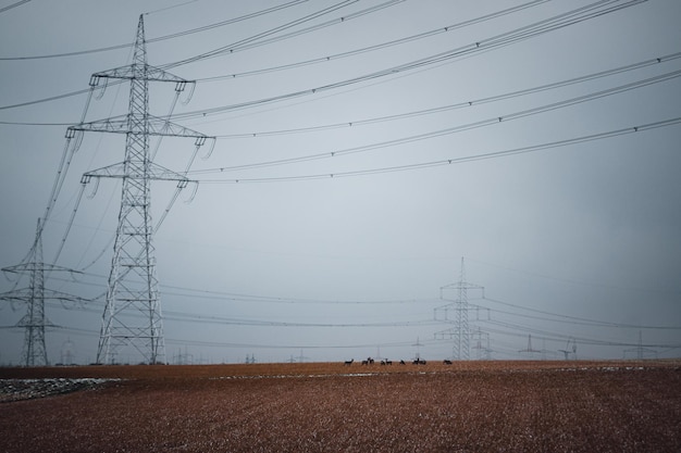 Lage hoek van de elektriciteitspylon op het veld met wilde herten tegen de lucht