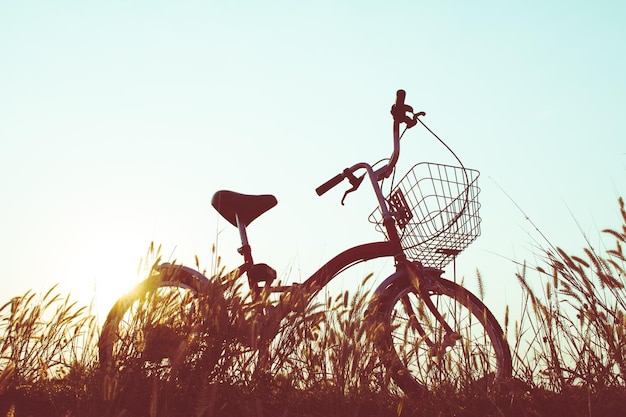 Foto lage hoek van de fiets tegen de lucht