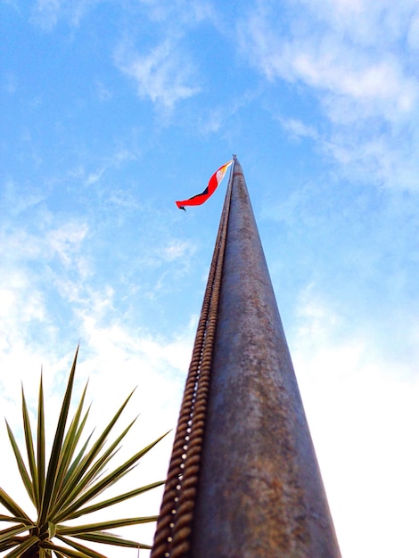 Lage hoek van de Filippijnse vlag en plant tegen de lucht