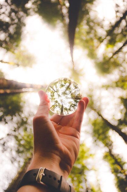 Foto lage hoek van de hand die de kristallen bol vasthoudt met de reflectie van bomen tegen een heldere lucht