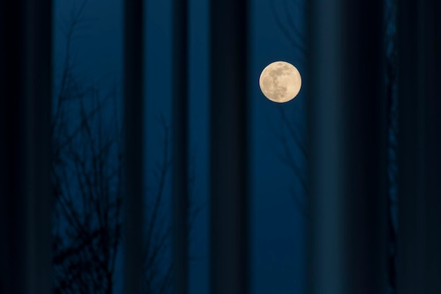 Foto lage hoek van de maan tegen de hemel's nachts tussen witte pilaren