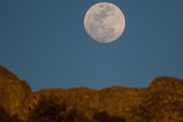 Foto lage hoek van de maan tegen een heldere hemel's nachts