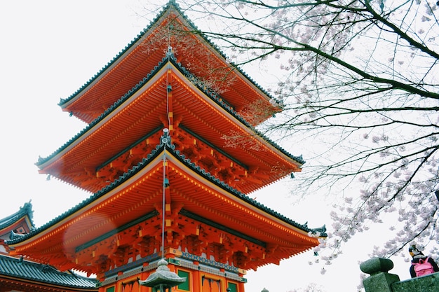 Foto lage hoek van de pagode tegen de lucht