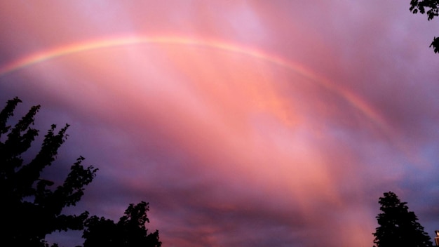 Foto lage hoek van de regenboog in de lucht