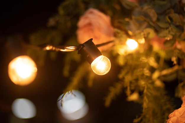 Foto lage hoek van de verlichte gloeilamp