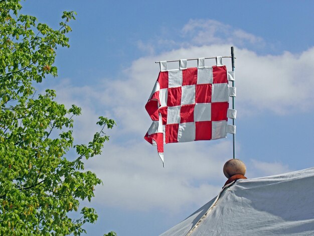 Foto lage hoek van de vlag naast de boom tegen bewolkte lucht