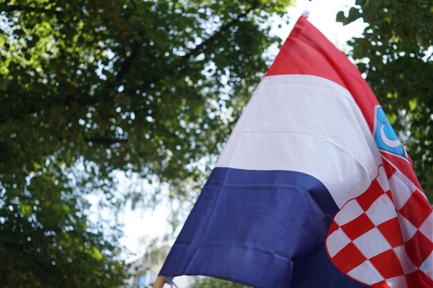 Foto lage hoek van de vlag tegen bomen