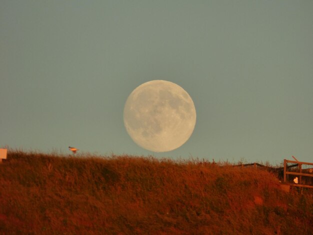 Foto lage hoek van de volle maan over de berg tegen een heldere hemel tijdens de zonsopgang