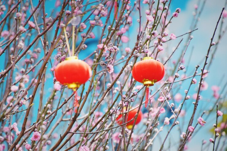 Foto lage hoek van de vruchten op de boom