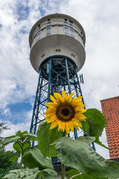 Foto lage hoek van een bloeiende plant tegen een bewolkte lucht en een watertoren