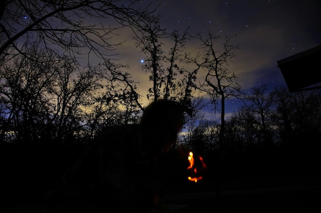 Foto lage hoek van een kale boom tegen de lucht