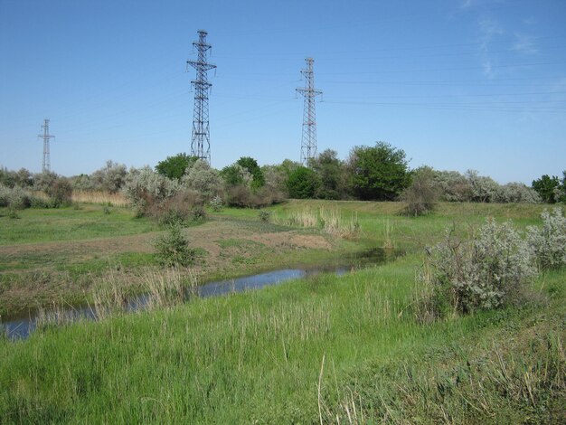 Foto lage hoek van een landbouwveld tegen een heldere blauwe lucht