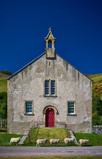 Lage hoek van een landelijke Schotse kerk met schapen die ronddwalen tegen een heldere blauwe lucht