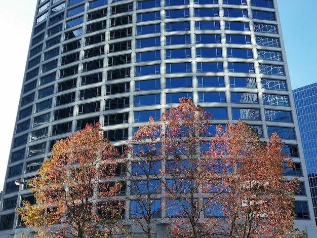 Foto lage hoek van een modern gebouw