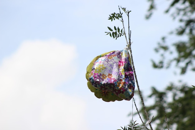 Foto lage hoek van een paarse bloem tegen de lucht