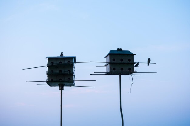 Foto lage hoek van een vogel tegen de lucht