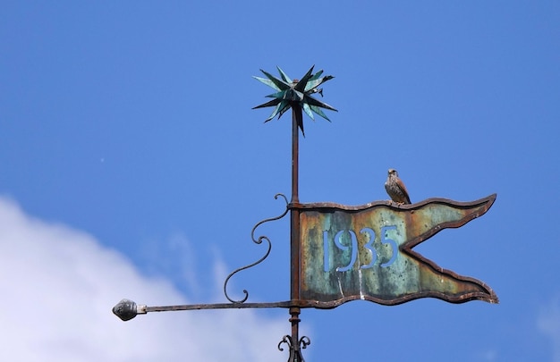 Lage hoek van een weervleugel tegen een blauwe hemel