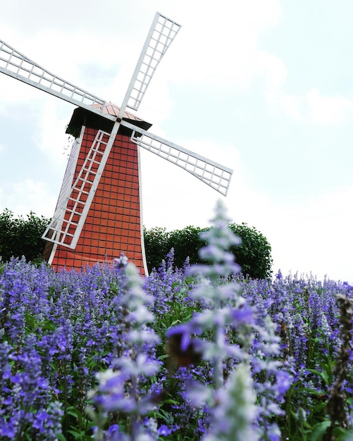 Foto lage hoek van een windmolen