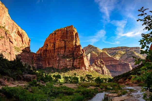 Foto lage hoek van engelen die landen in zion national park