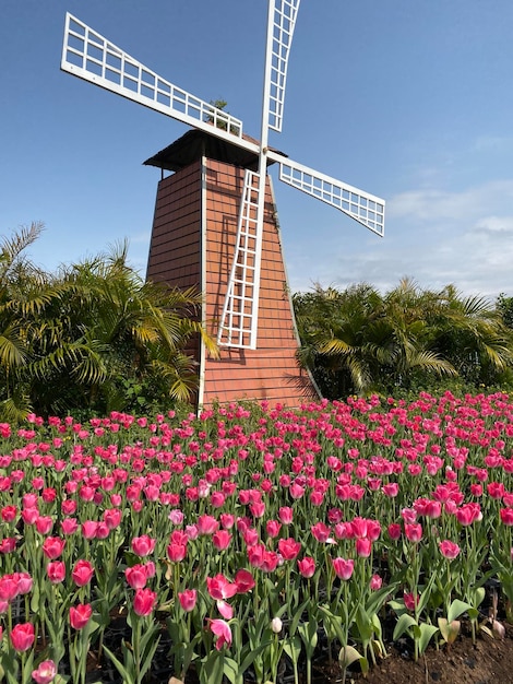 Lage hoek van gebouwen tegen de lucht